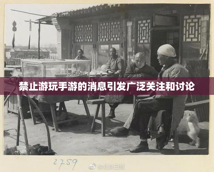 禁止游玩手游的消息引发广泛关注和讨论
