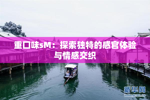 重囗味sM：探索独特的感官体验与情感交织