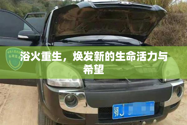 浴火重生，焕发新的生命活力与希望