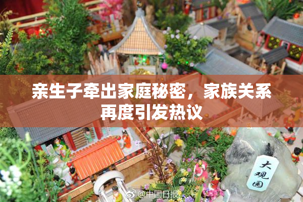 亲生子牵出家庭秘密，家族关系再度引发热议