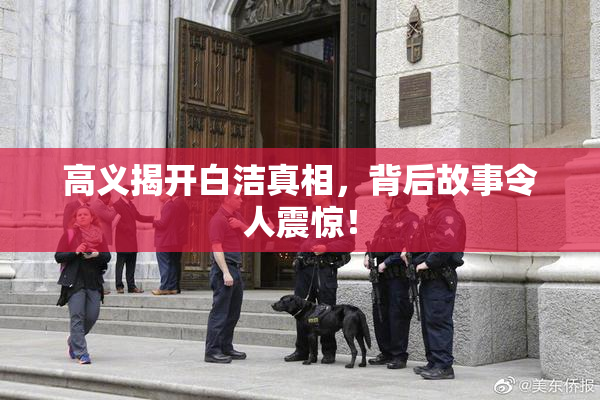 高义揭开白洁真相，背后故事令人震惊！