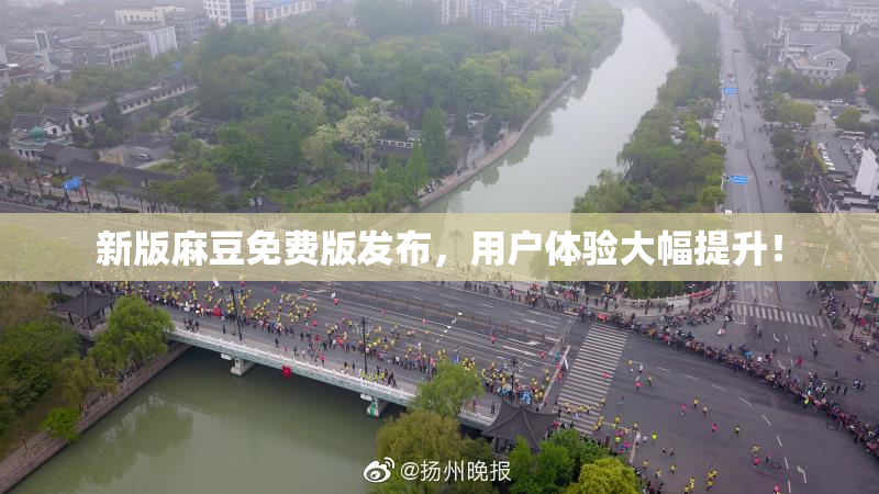 新版麻豆免费版发布，用户体验大幅提升！