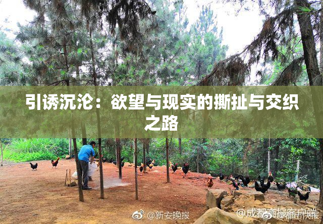 引诱沉沦：欲望与现实的撕扯与交织之路