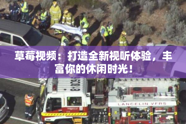 草莓视频：打造全新视听体验，丰富你的休闲时光！