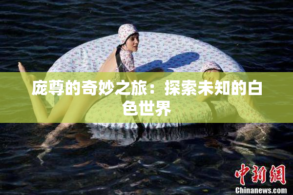 庞尊的奇妙之旅：探索未知的白色世界