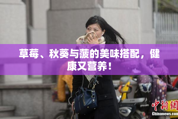 草莓、秋葵与菠的美味搭配，健康又营养！