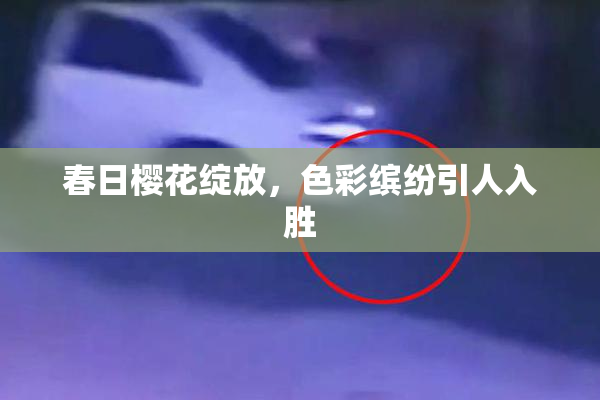 春日樱花绽放，色彩缤纷引人入胜