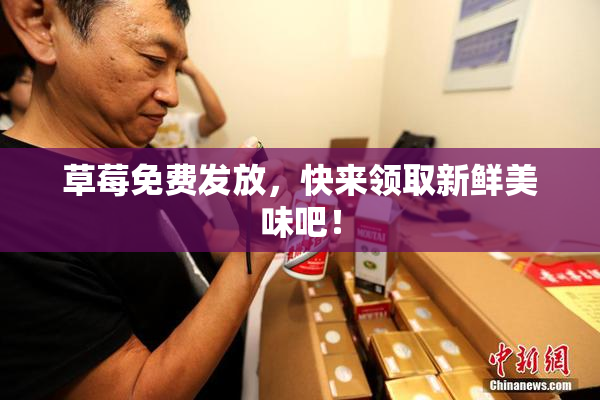草莓免费发放，快来领取新鲜美味吧！