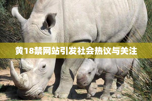 黄18禁网站引发社会热议与关注