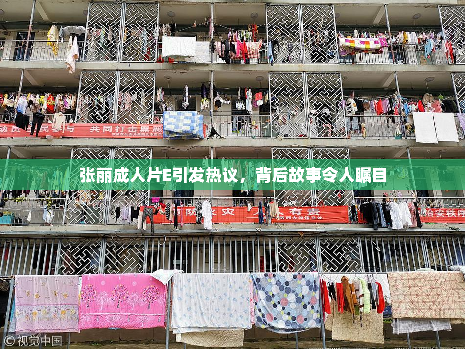 张丽成人片E引发热议，背后故事令人瞩目