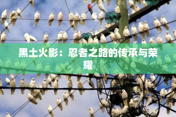黑土火影：忍者之路的传承与荣耀