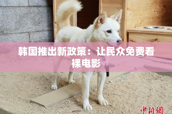 韩国推出新政策：让民众免费看裸电影