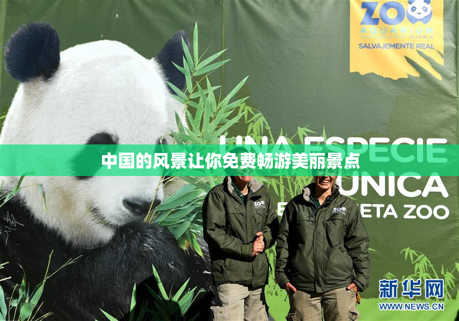 中国的风景让你免费畅游美丽景点