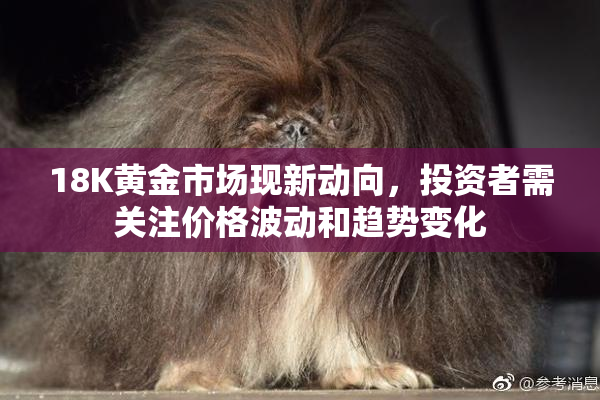 18K黄金市场现新动向，投资者需关注价格波动和趋势变化
