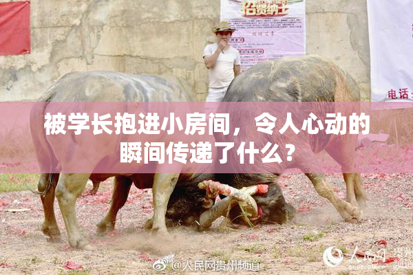 被学长抱进小房间，令人心动的瞬间传递了什么？