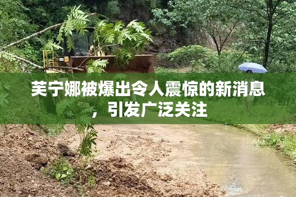 芙宁娜被爆出令人震惊的新消息，引发广泛关注