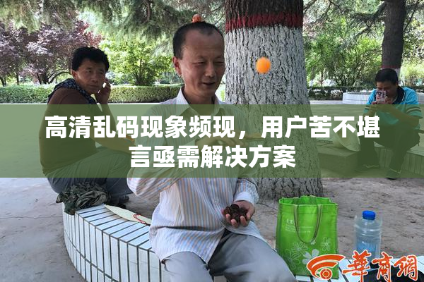 高清乱码现象频现，用户苦不堪言亟需解决方案