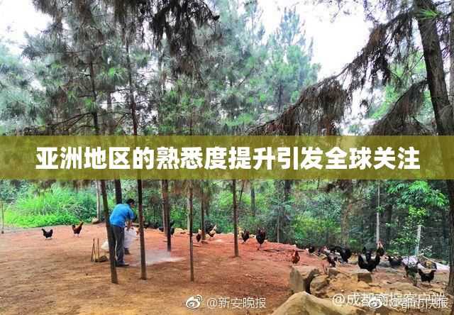 亚洲地区的熟悉度提升引发全球关注