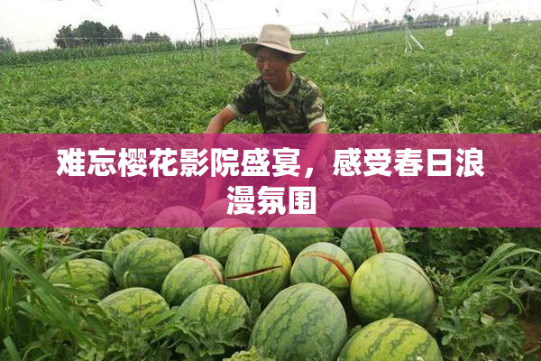 难忘樱花影院盛宴，感受春日浪漫氛围