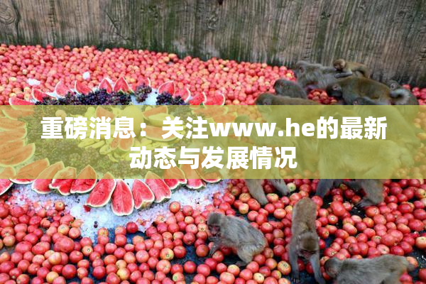 重磅消息：关注www.he的最新动态与发展情况