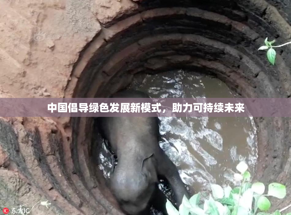 中国倡导绿色发展新模式，助力可持续未来