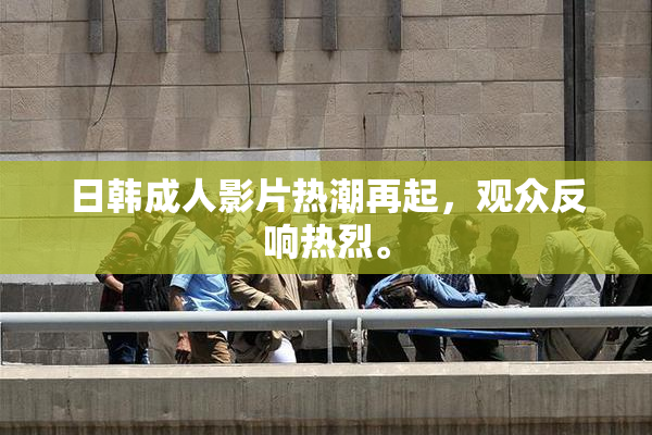 日韩成人影片热潮再起，观众反响热烈。
