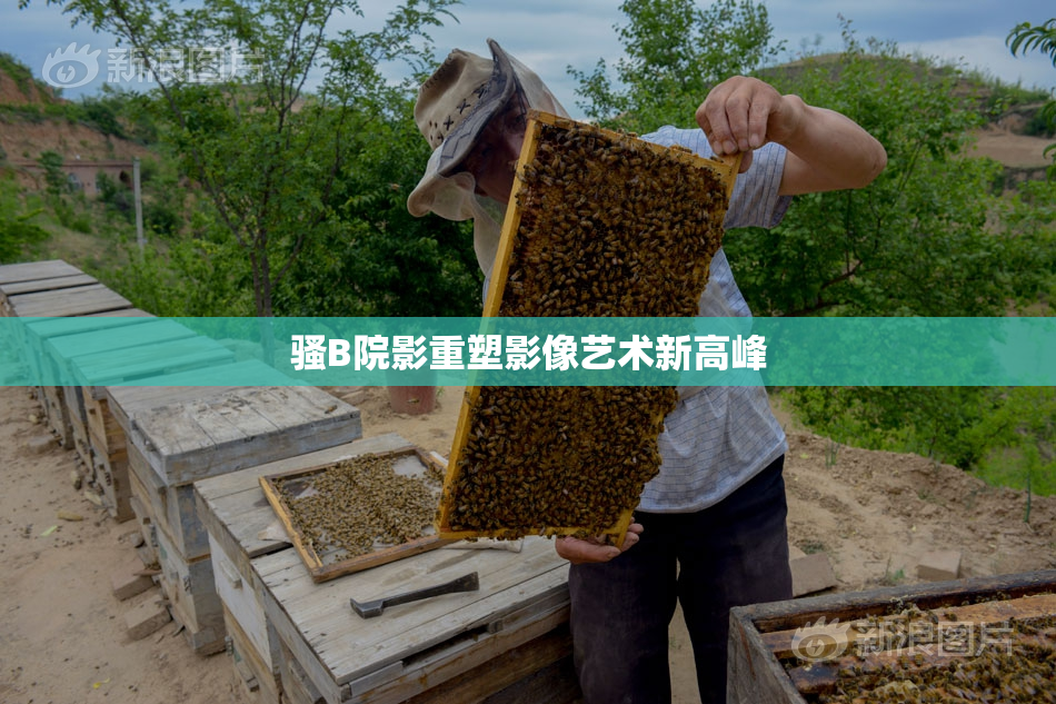 骚B院影重塑影像艺术新高峰