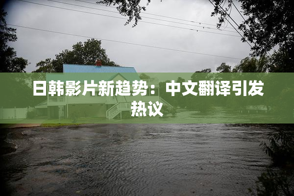 日韩影片新趋势：中文翻译引发热议