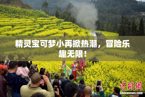 精灵宝可梦小再掀热潮，冒险乐趣无限！