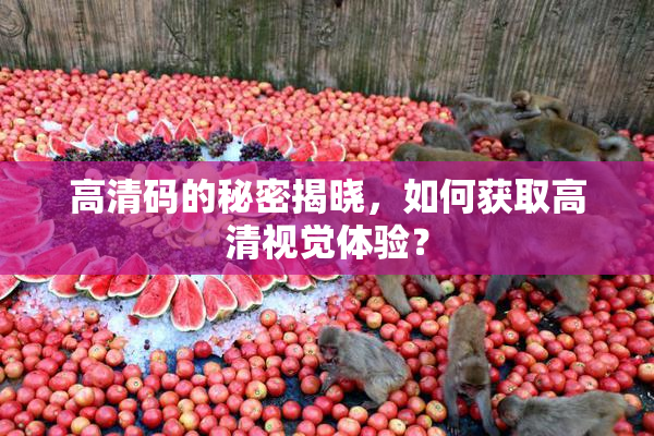 高清码的秘密揭晓，如何获取高清视觉体验？