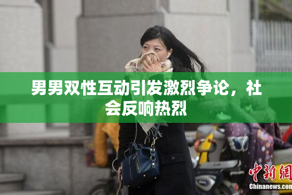 男男双性互动引发激烈争论，社会反响热烈