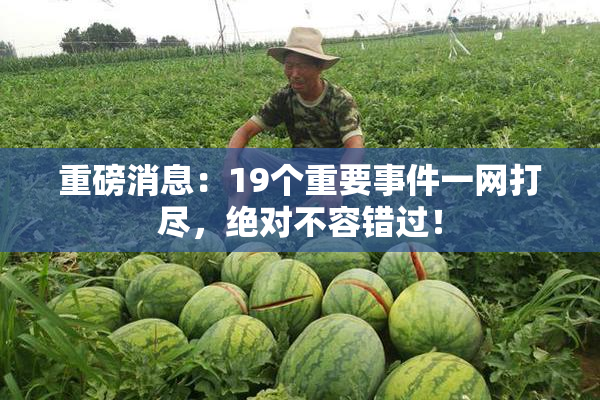 重磅消息：19个重要事件一网打尽，绝对不容错过！
