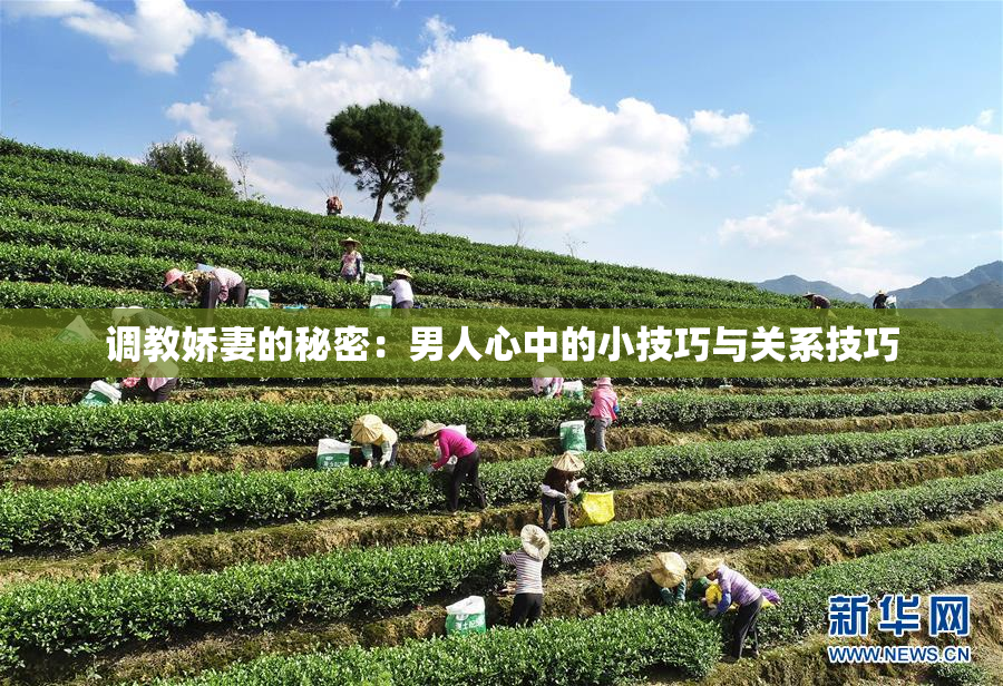 调教娇妻的秘密：男人心中的小技巧与关系技巧