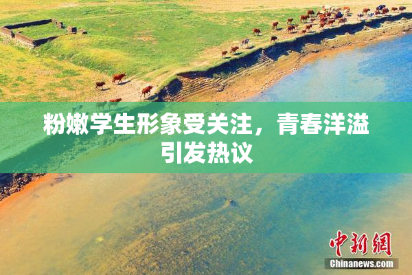 粉嫩学生形象受关注，青春洋溢引发热议