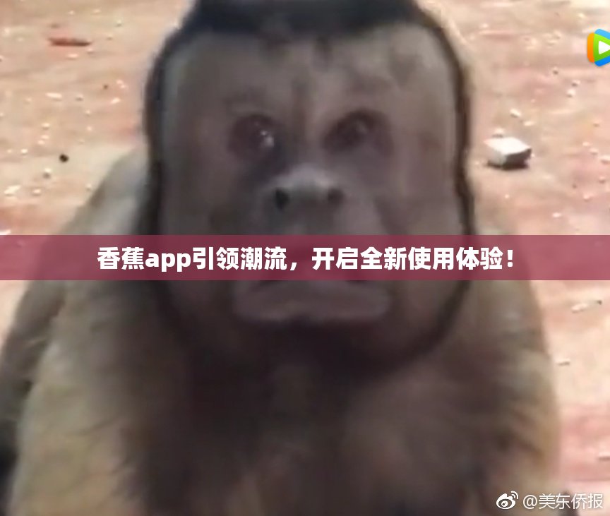 香蕉app引领潮流，开启全新使用体验！