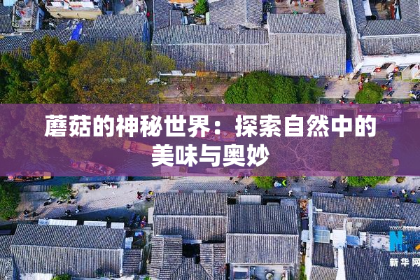蘑菇的神秘世界：探索自然中的美味与奥妙