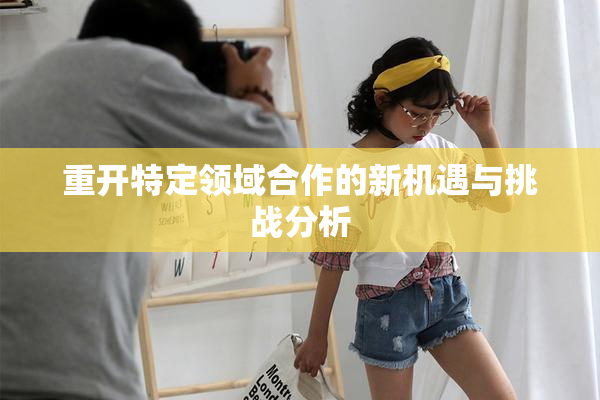 重开特定领域合作的新机遇与挑战分析