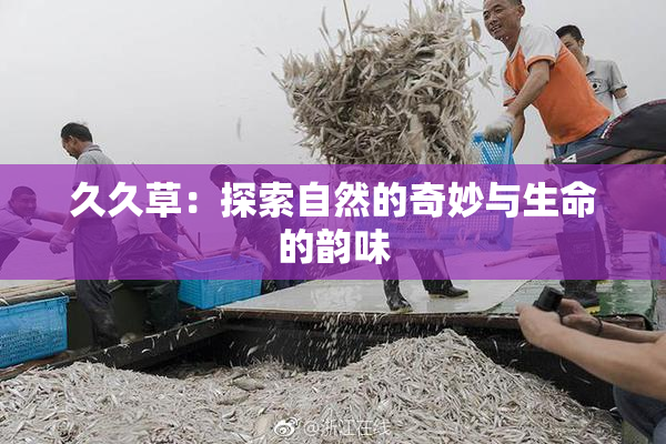 久久草：探索自然的奇妙与生命的韵味