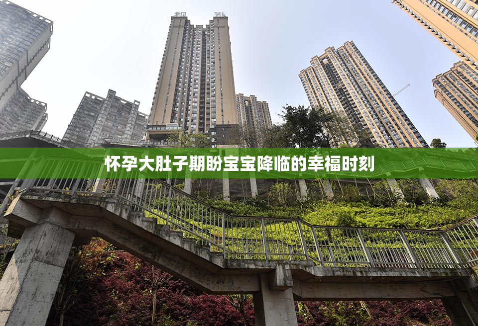 怀孕大肚子期盼宝宝降临的幸福时刻