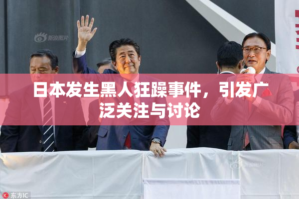 日本发生黑人狂躁事件，引发广泛关注与讨论