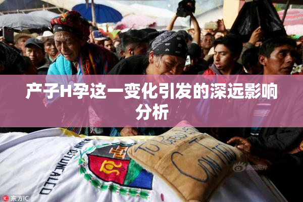产子H孕这一变化引发的深远影响分析