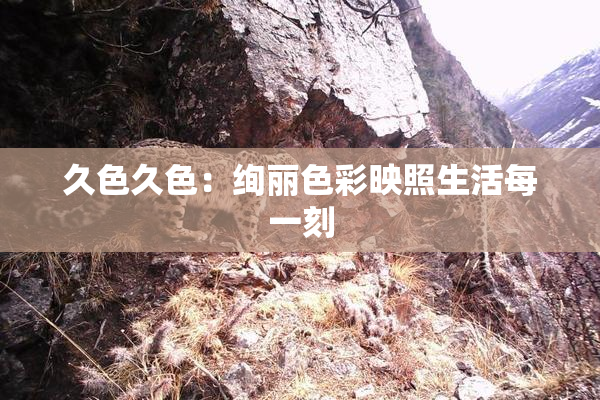 久色久色：绚丽色彩映照生活每一刻