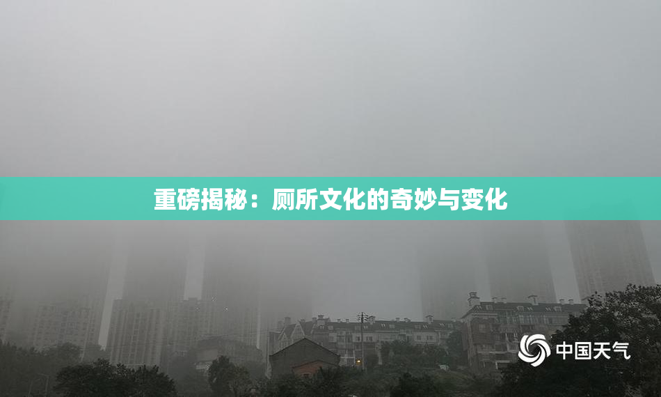 重磅揭秘：厕所文化的奇妙与变化