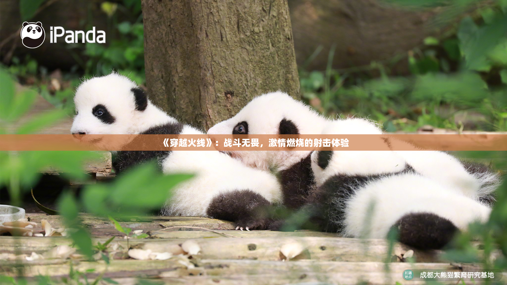 《穿越火线》：战斗无畏，激情燃烧的射击体验