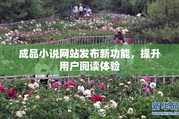 成品小说网站发布新功能，提升用户阅读体验
