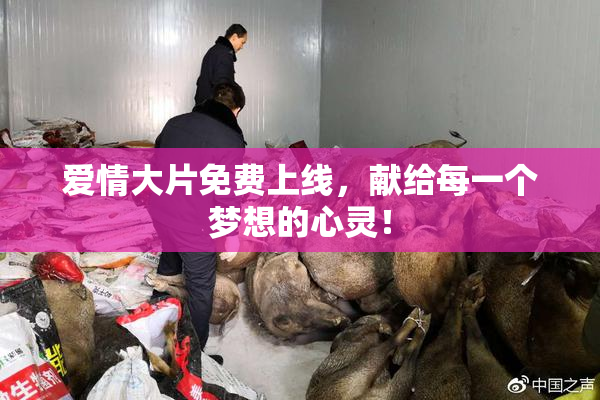 爱情大片免费上线，献给每一个梦想的心灵！