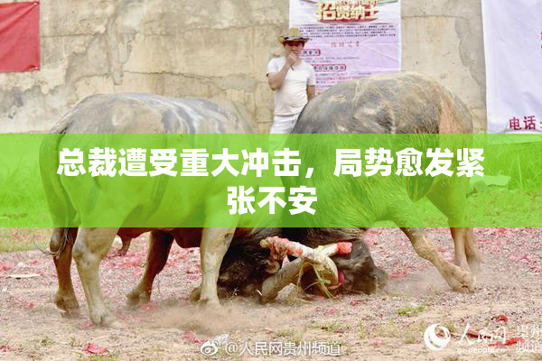 总裁遭受重大冲击，局势愈发紧张不安