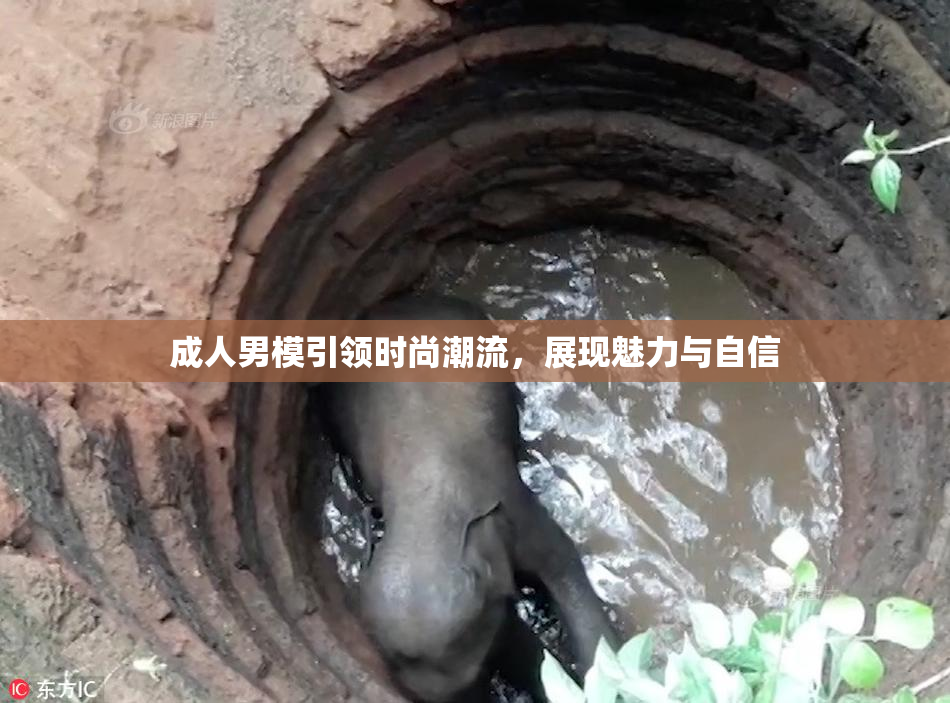成人男模引领时尚潮流，展现魅力与自信