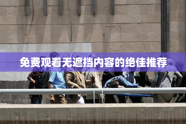 免费观看无遮挡内容的绝佳推荐