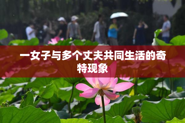 一女子与多个丈夫共同生活的奇特现象